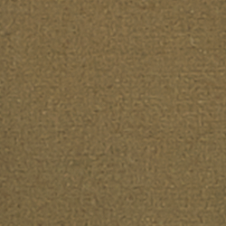 Canopy Olive