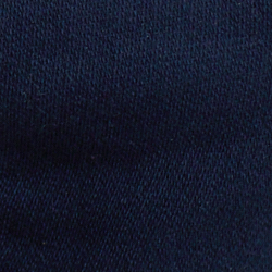 Cruise Navy