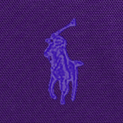 Bright Purple