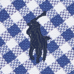 5063 Blue/White