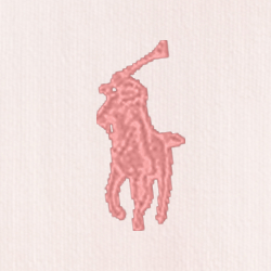Rose délicat