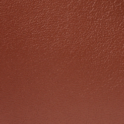 Saddle