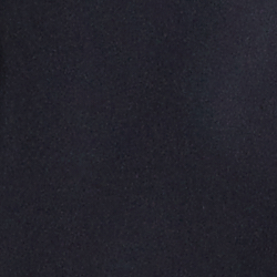 College Navy