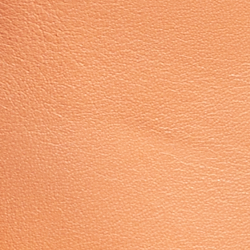 Chamois