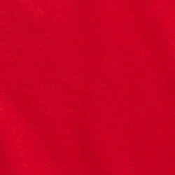 Rl2000 Red Ski Bear