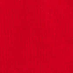 Rl2000 Red Ski Bear