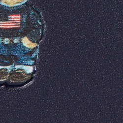 Navy/Multi Bear