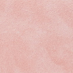 Ballet Pink