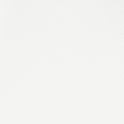 White /Navy W Toggle Bear