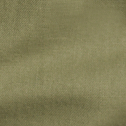 Sag Olive