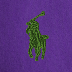 Purple Cactus
