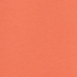 Portside Coral