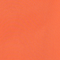 Portside Coral