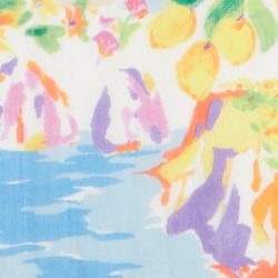 Yellow/Blue Multi