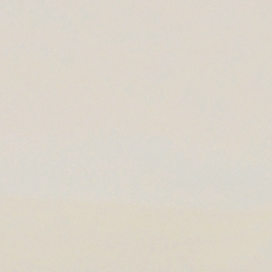 Shiny Transp Beige