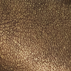 Bronze