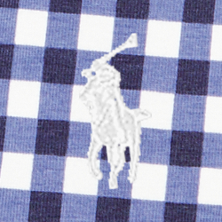 Blue Gingham