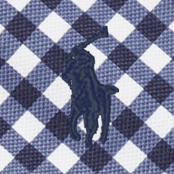 Blue Gingham