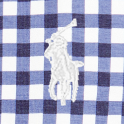 Blue Gingham