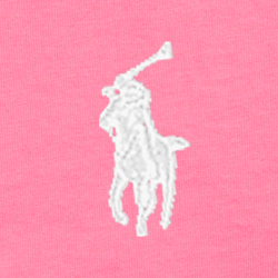 Rosa-deserto