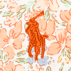 Harlowe Floral