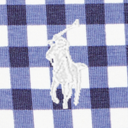 Blue Gingham