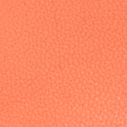 Portside Coral