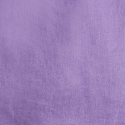 Wisteria