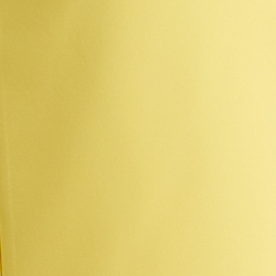 Sunfish Yellow