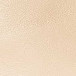Parchment