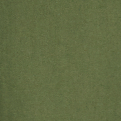 Canopy Olive