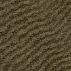 Olive Night