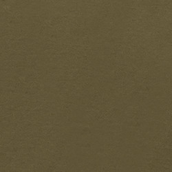 Olive Night