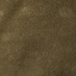 Sahara Olive