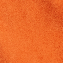 Orange Poppy
