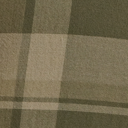 Olive Multi
