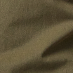 Olive Night