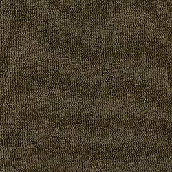 Olive Night