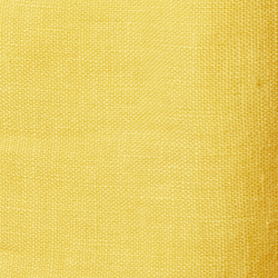 Slicker Yellow