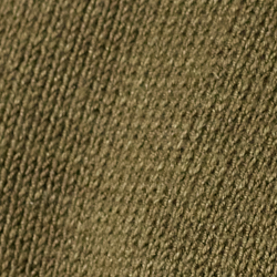 Olive Night