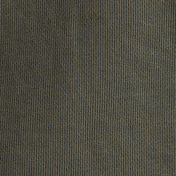 Fossil Green