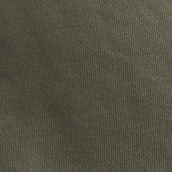 Fossil Green