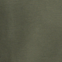 Fossil Green