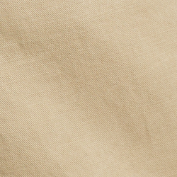 Coastal Beige