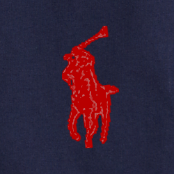 Cruise Navy