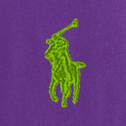 Purple Cactus