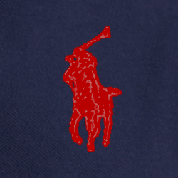 Cruise Navy