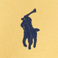 Corn Yellow