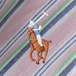 Fancy Stripe Multi