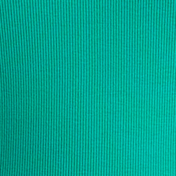 Palm Leaf